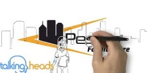 Custom Whiteboard Video – PestCo